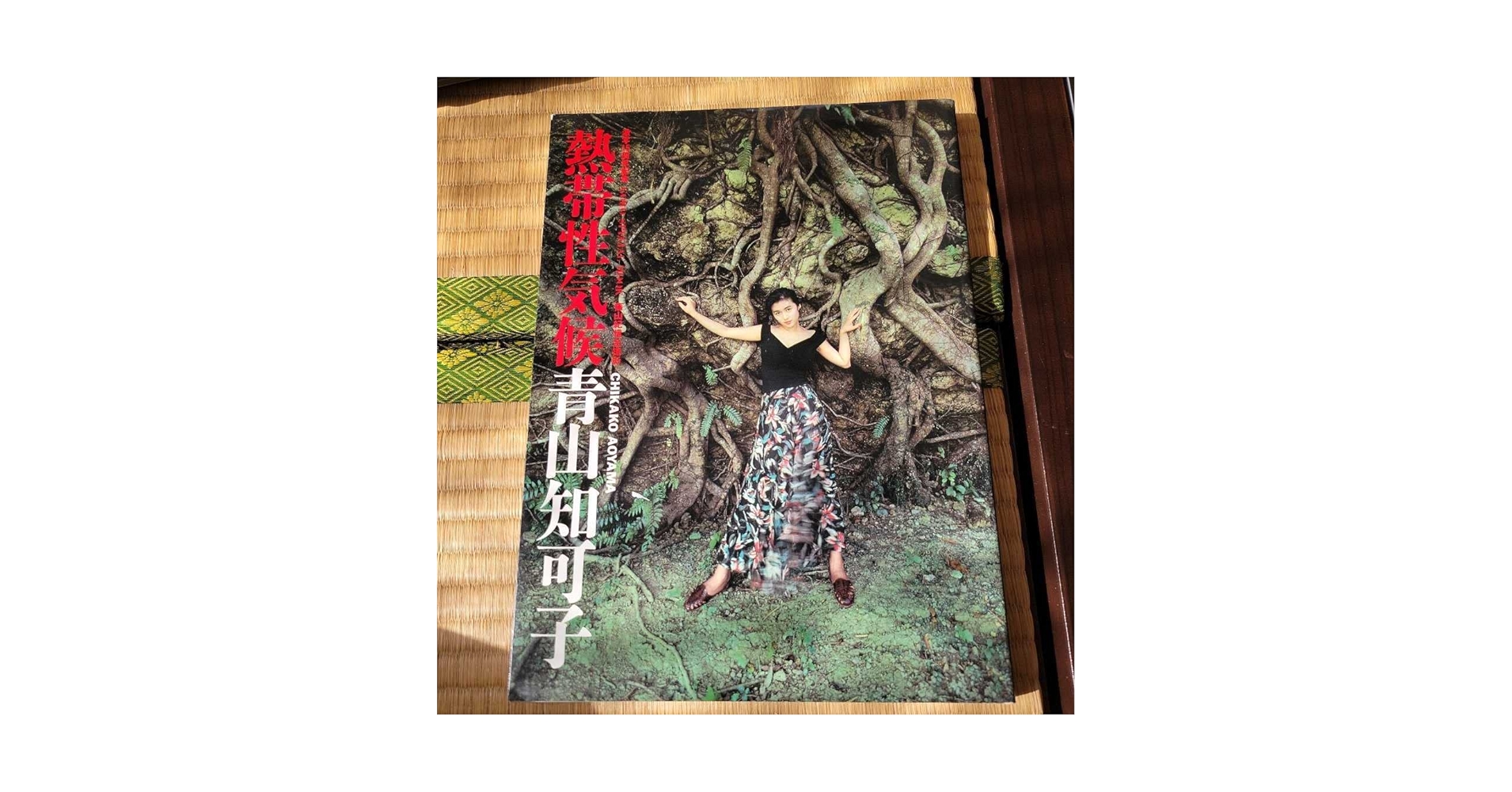 Amazon.co.jp: 青山知可子 写真集 熱帯性気候 巨乳